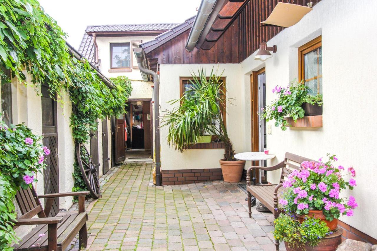 Likedeeler 3 Daire Zingst Dış mekan fotoğraf